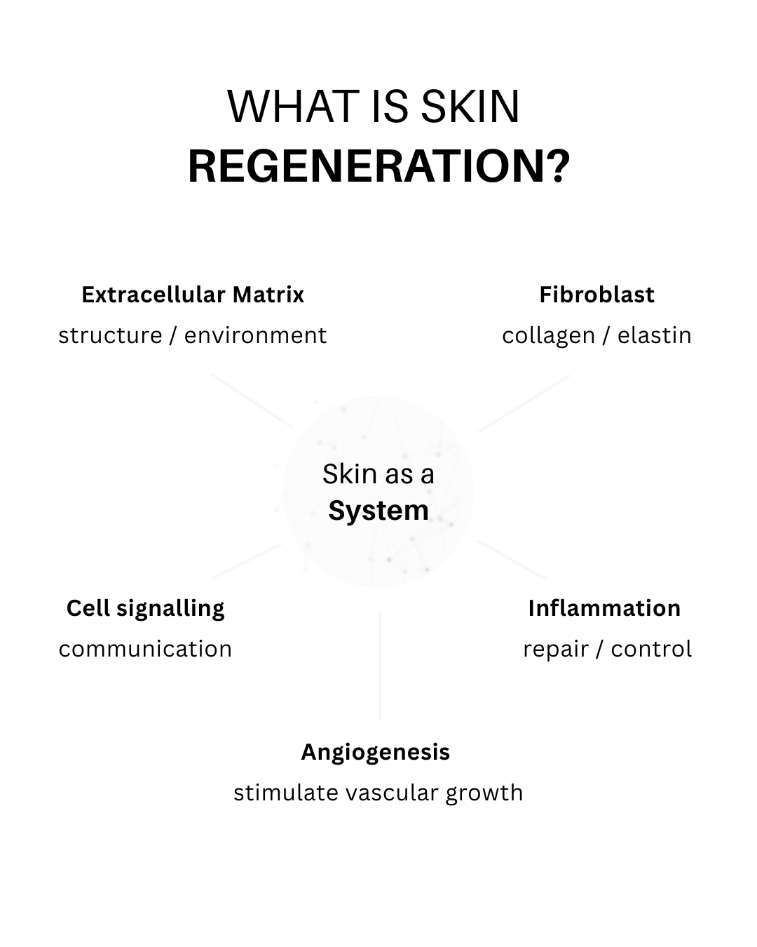What is Skin Regenration?